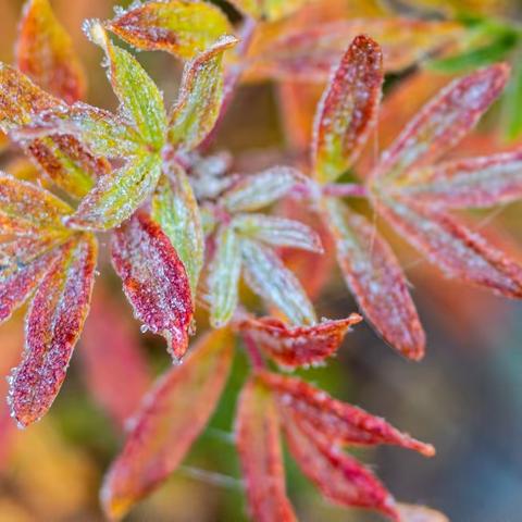 2023年星空国际和创物业服务中心10月份月报