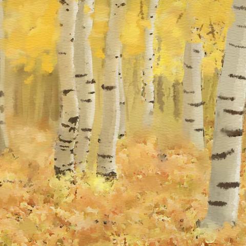 2023年星空国际和创物业服务中心11月份月报