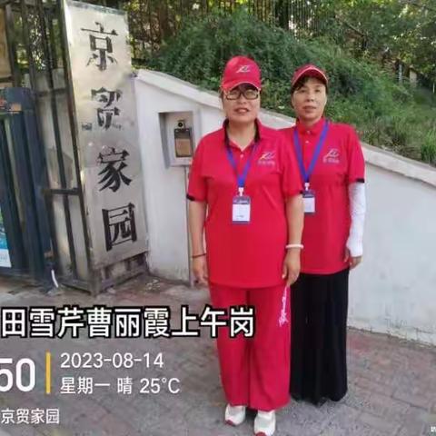 G琴的简篇