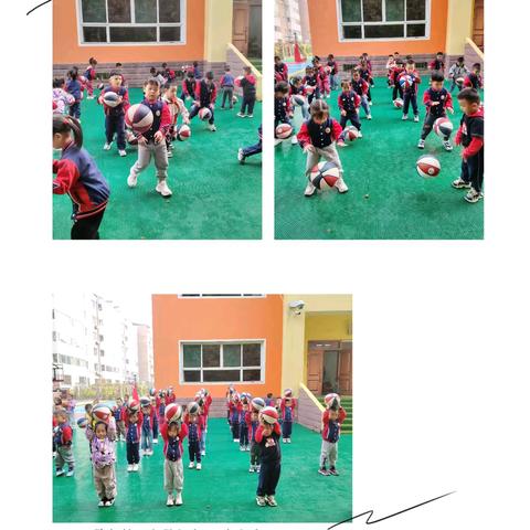 【欣新幼儿园】2024年11月19日工作动态