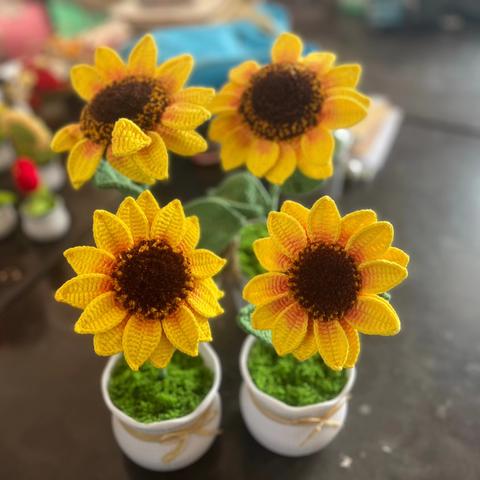 2024年巩义市三田小学一年级新生招生指南