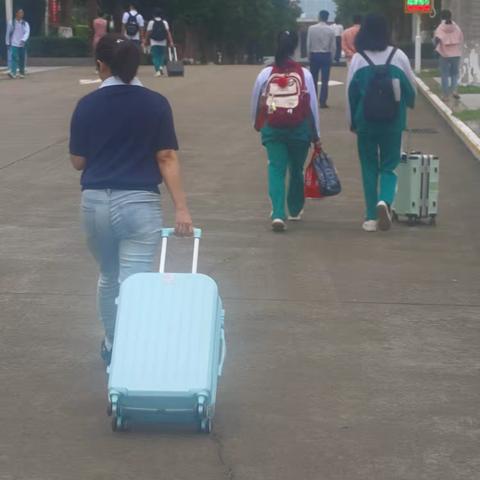 侨中高一家长会暨选科会情况总结