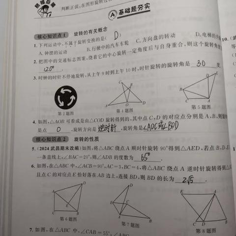 黄煜朝寒假数学作业