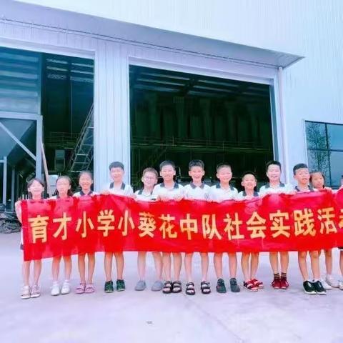 采摘蟠桃乐，感悟劳动美—金华市育才小学三（3）