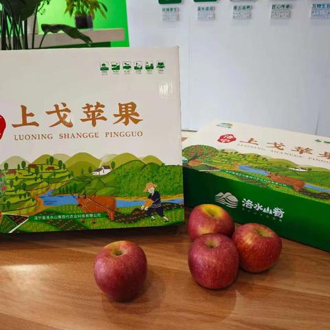 蒸肉香 苹果红 相约到洛宁！