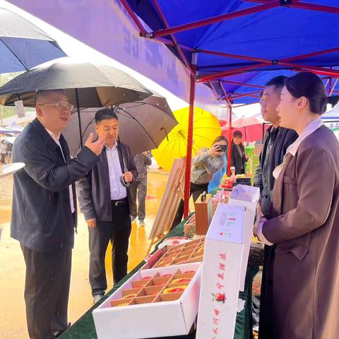 洛宁苹果香 您来尝一尝——宁果时代苹果多个品种亮相上戈蒸肉争霸赛