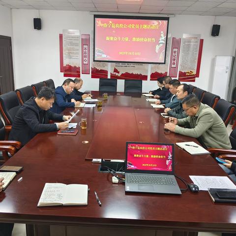 凝聚奋斗力量，激励使命担当——洛宁县农投公司积极开展2025年10月党员主题活动日