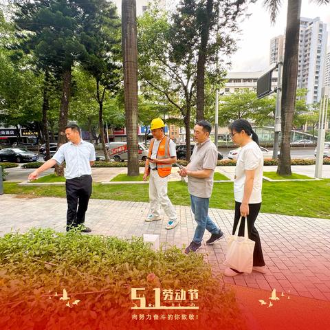 5·1 绿化提升 | 罗湖区市政园林管理所市政道路及社区公园绿地管养服务项目（A包）