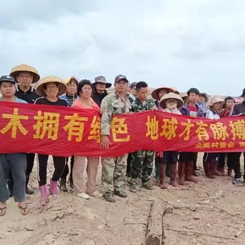 再现壮举！植绿护蓝筑屏障 兴村富民启新程——以生态振兴赋能自贸港和美乡村建设