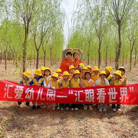 汇爱幼儿园花园班🌸“汇”眼看世界——《我与柳树有个约会》