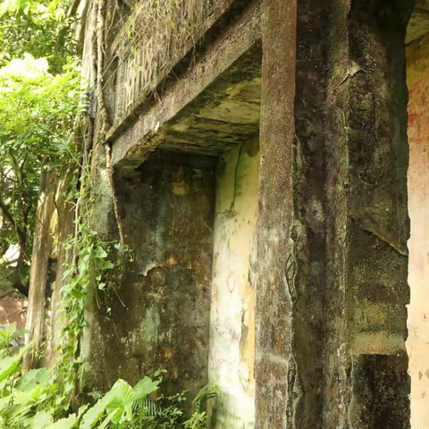 湛江学子三下乡：追溯红色历史脉络，见证乡村振兴，传承文化力量