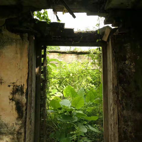 湛江学子三下乡：革命遗址见证辉煌史，青史千秋铸就英雄碑