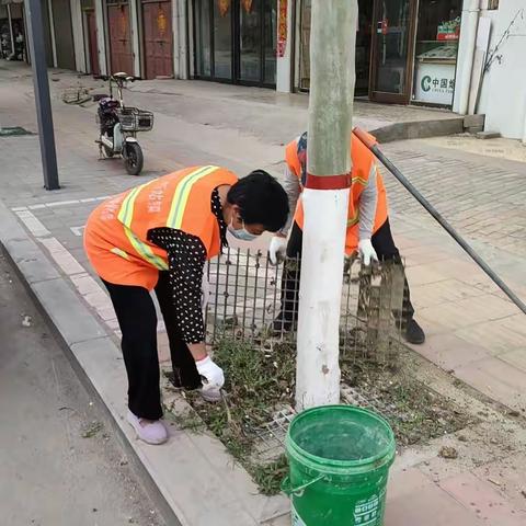 精细管理见成效 打造宜居宜业新典范——新站镇开展大街精细化管理专项行动