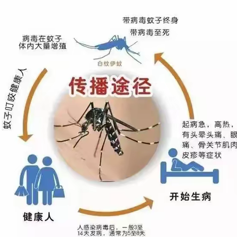 预防登革热，我们在行动——望湖社区开展登革热防控工作！