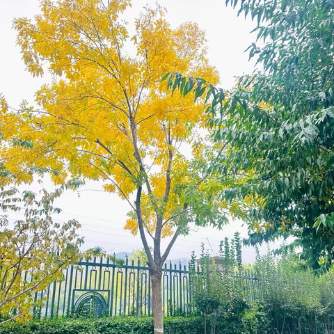 东南智汇城9号院 10月份服务呈现 ‍ ‍