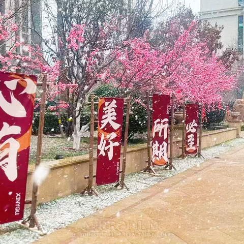 东南智汇城9号院 1-2月份服务呈现