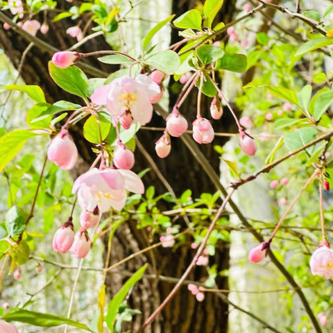 东南智汇城9号院 3月份服务呈现 ‍
