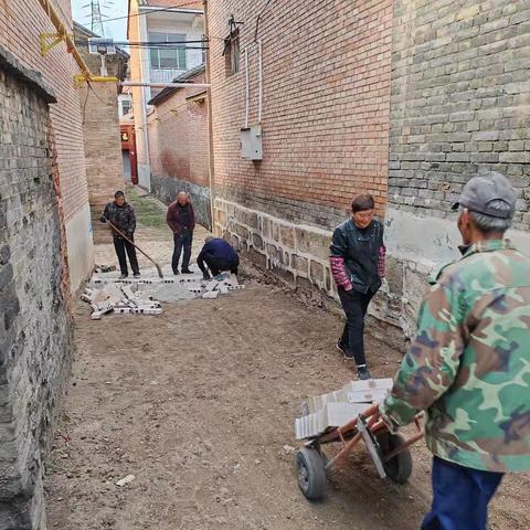 大峪村第二网格赵艳飞