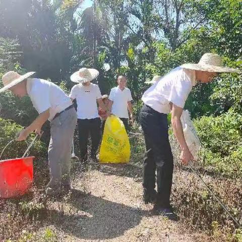 坡心镇新坡村2023年第三季度开展环境卫生整治工作