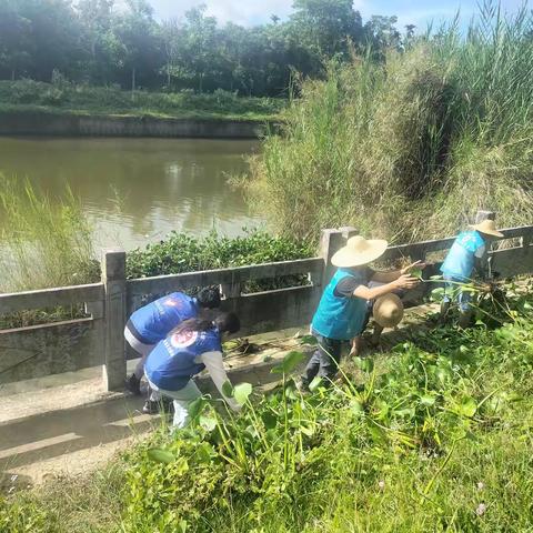 坡心镇七月河小青活动掠影——共筑清水梦，我们在行动