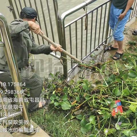 坡心镇全力推进台风“摩羯”灾后河道清理工作