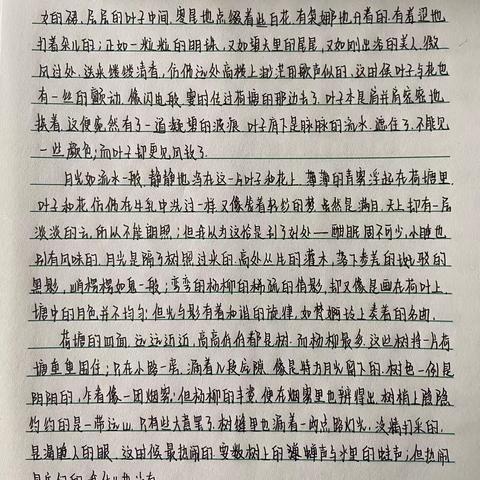 假期作业