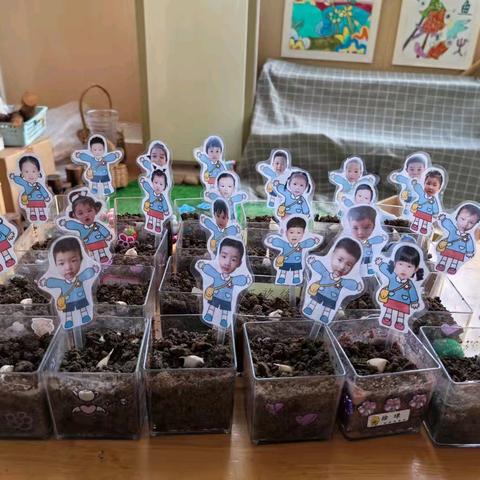 拓印柿子藏霜降，大蒜种进自然角——🍓小一班第八周小记