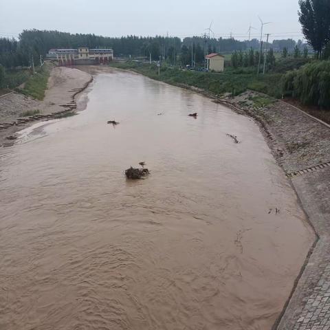 珍爱生命，预防溺水