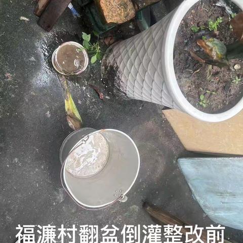 翻盆倒罐我们在行动