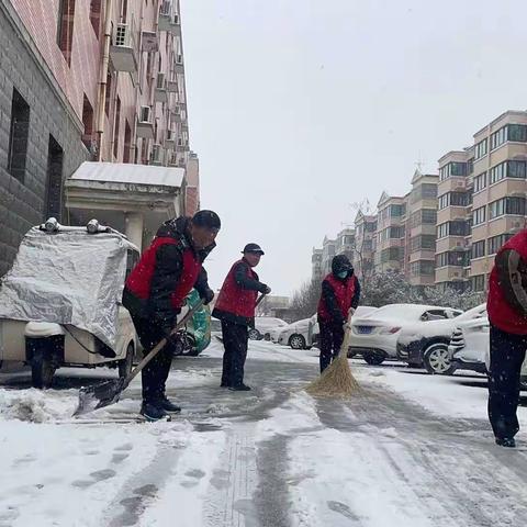 清理积雪，平安出行