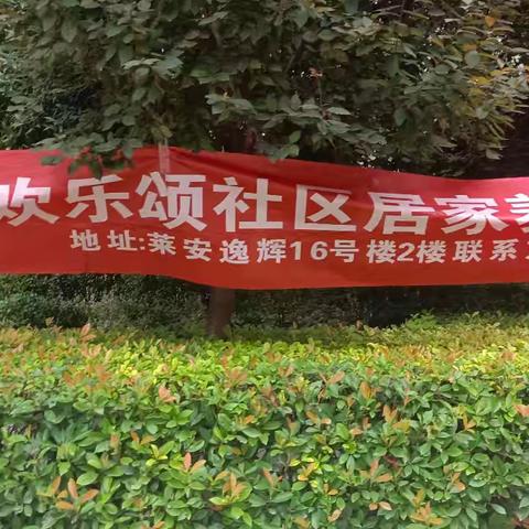 养老集市之 义诊进社区，健康有“医”靠