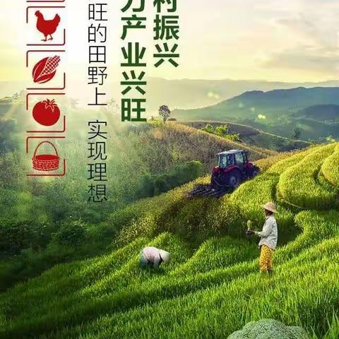 刘村支行:整村授信让百姓寒冬心暖