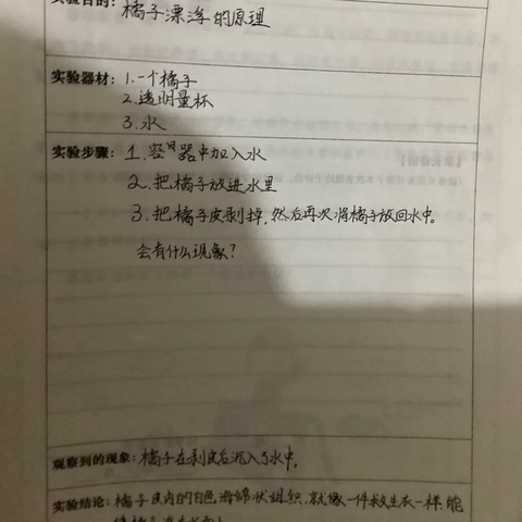 假期科学实验