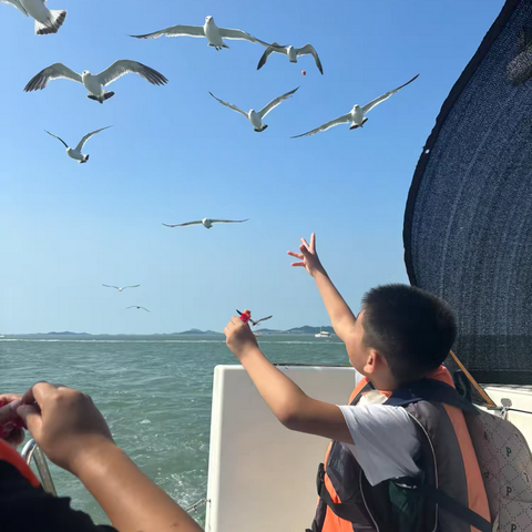 出海游