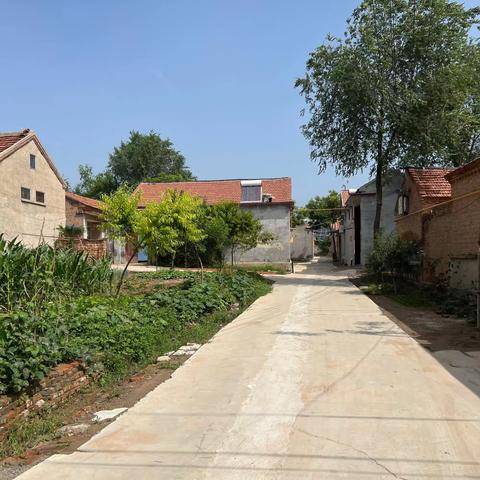 宗家村第一书记7月份工作简篇