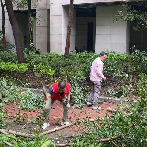 金山街道建兴洋社区开展“护河爱水、清洁家园”专项行动