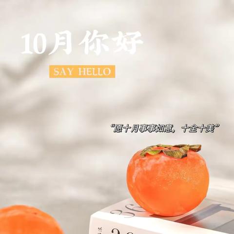 华保盛集团钦州市行政信息中心物业服务中心2024年10月工作月报