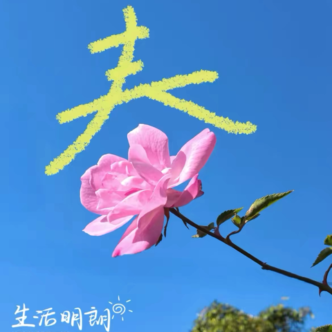 华保盛集团钦州市行政信息中心物业服务中心2026年3月工作月报