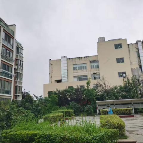 通和桂园西区网格周动态9.28