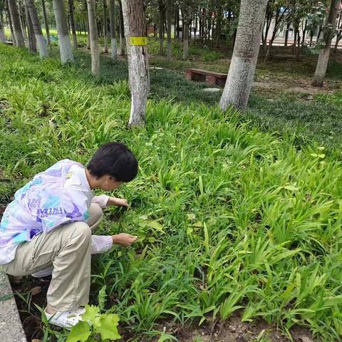 劳动周
