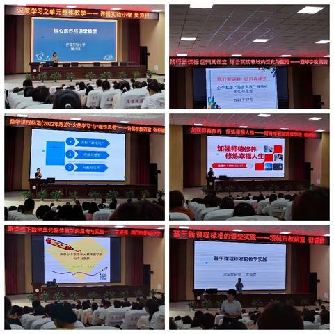 以梦为马，不负韶华——写在2023年项城市小学数学教师暑期培训之际