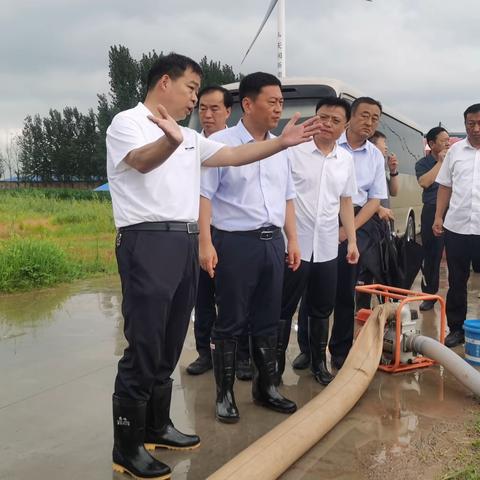 闻汛而动    向雨而行