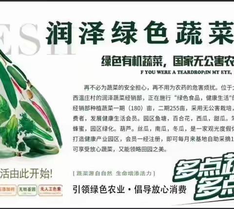 润泽绿色共享家园，开始招募合伙人啦，一个属于大家的共享菜园，共享餐厅，共享绿色生活，开启新的创业模式，共享家园，