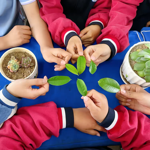 与春共生 以美为盟 五一班春日主题班级系列活动