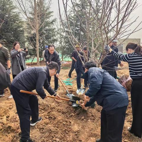 植此青绿 共“树”未来 对标交流 同促提升 ——工程建管公司联合引汉济渭建管公司开展植树节主题活动