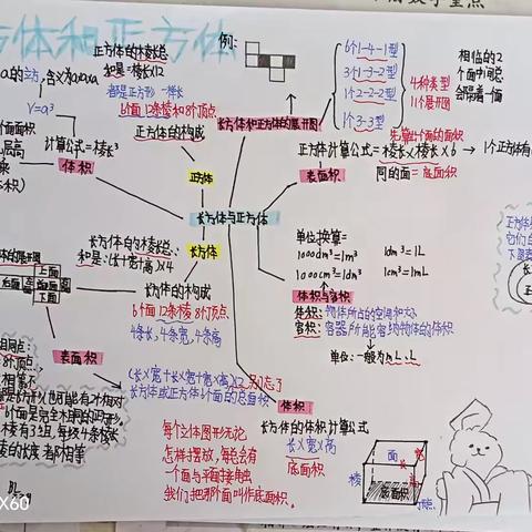 精耕细作，“暑”你精彩—六三班暑假特色作业