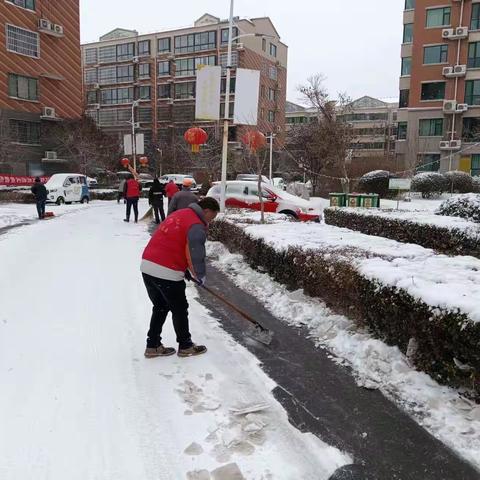 苏村村委组织小区道路积雪清理