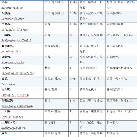 我们如何看见它们