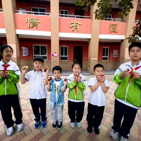 金秋校园丰收乐——丛台小学劳动实践活动纪实