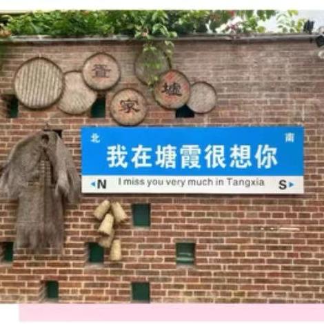 【相约之旅】二十四年湛师情